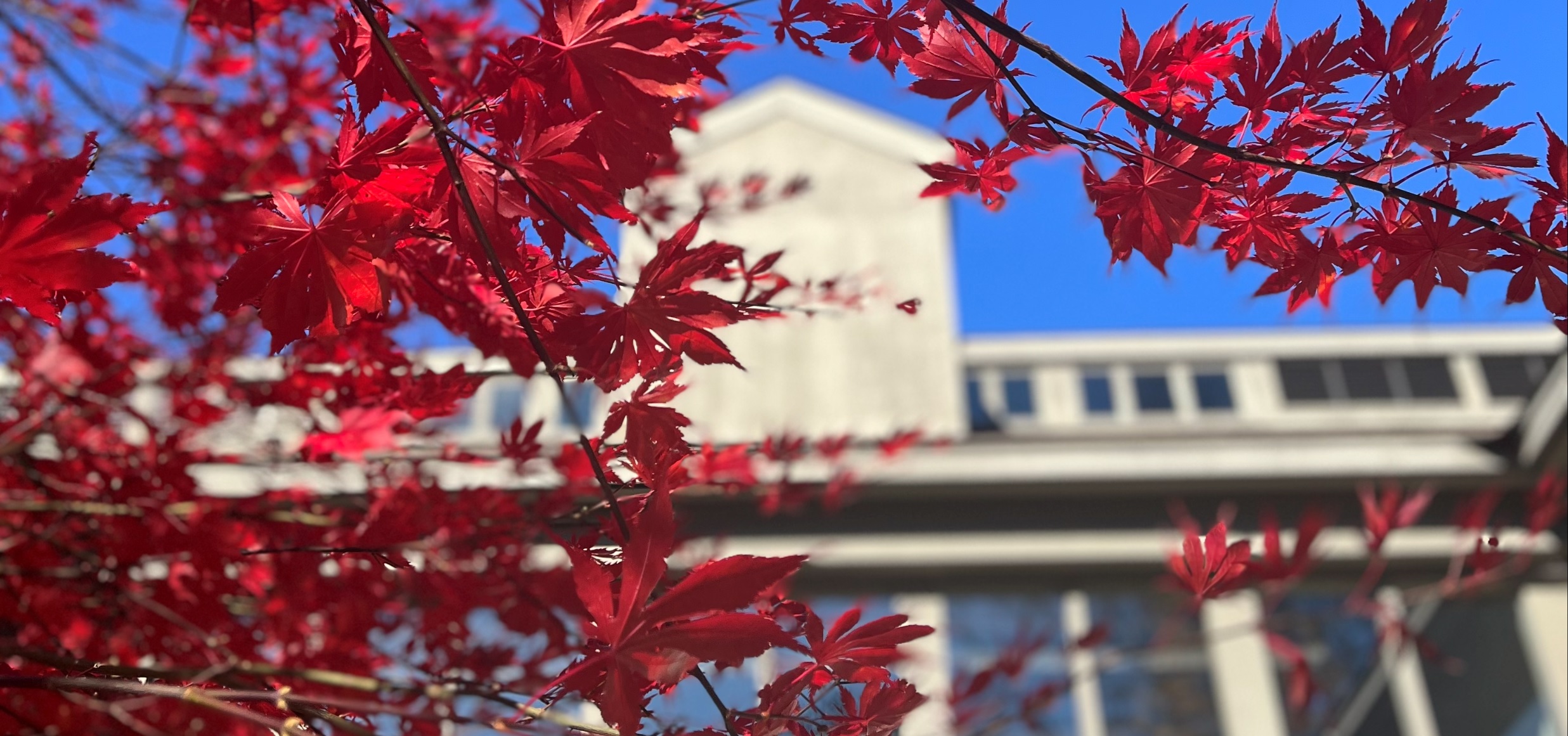 Howe Library